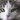 Cat Ownership: A Hilarious Adventure Meowst Definitely Worth Taking!