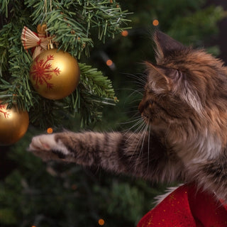 Cat Proof Your Christmas Tree
