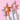 Two collars side by side – ash green and light pink options with bow tie and flower