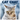 Cat-themed calendar cover with a cat's face and humorous text on a blue background