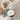 Stainless steel Cat and Fish Keychain – playful silver-tone design.