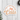A sticker featuring the words "Easily Distracted By Cats" in playful orange print on a white background.
