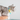 Tabby cat wearing the cream collar with hawaiian embroidery and yellow bow tie