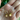 Close-up of lucky cat paw huggie earrings