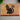 Love Cats Doormat