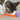 Ping Pong Ball Cat Toy With Long Orange Wiggly Tail