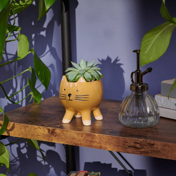 Adorable Cat Planter for Indoor Plants