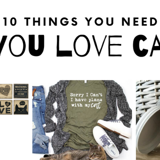 10 Things You Need If You Love Cats