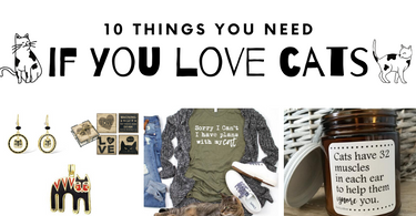 10 Things You Need If You Love Cats
