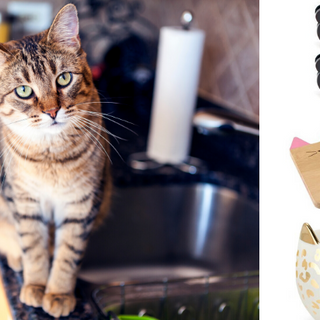 Cat Kitchen Accessories, Cat Themed Kitchen Gadgets, Cat Home Decor