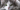 Cat Ownership: A Hilarious Adventure Meowst Definitely Worth Taking!