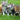 cat personality types