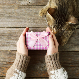 10 best gifts for cat owners and gift ideas for cat lovers
