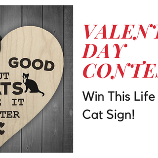 Win A Cat Sign Valentine's Day Contest