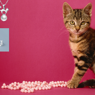10 Cat Jewelry Pieces You Will Love
