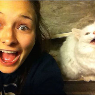 10 Cats Who Look Like Their Owners