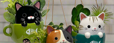 Gifts for Cat Lovers Purrs and Whiskers