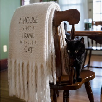 50" x 60" cozy throw blanket with tassels and "A House Is Not A Home Without A Cat" design.