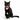 Black and white cat wearing a red bow tie on a white background