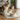 Beige ceramic cat-shaped bowl on a white background
