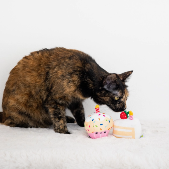Birthday Cake Cat Toy With Catnip