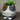 Cat Related gifts, Cat Shaped Flower Pot