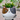 Cat Garden Decor, Cat Flower Pot