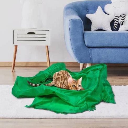 Cat Carpet Toy – Purrs and Whiskers
