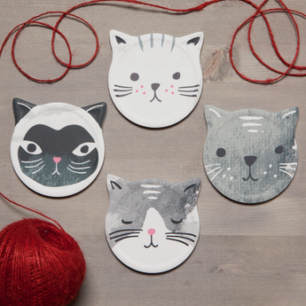 Cat Face Coasters set with gift box