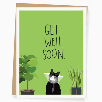 Black cat wearing a cone with the text 'Get Well Soon' on a green backdrop.