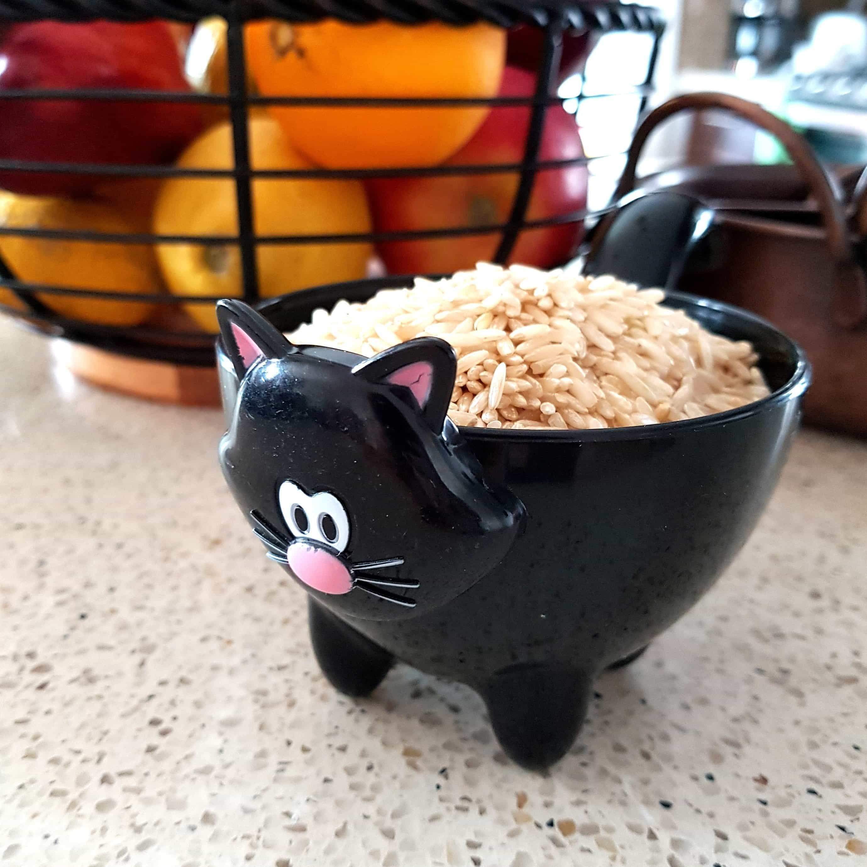 Cute Black Cat Measuring Cup for Cat Lovers