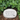 Cat Memorial Rock with angelic design and the inscription 'Meowing, purring, lying in the sun, I'm up in heaven having fun', suitable for indoor and outdoor use.