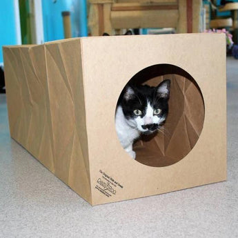 Unique Toys for Cats, Cat Tunnel Indoor