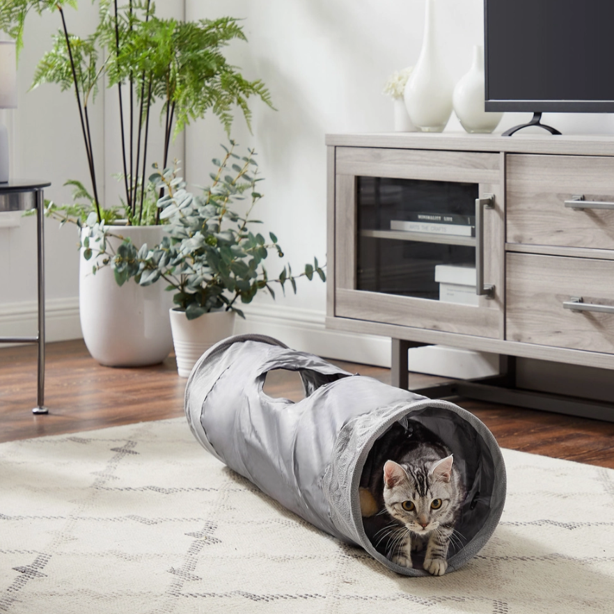 Best Toys For Indoor Cats, Cat Play tunnel