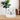 White mug with a cat face design on a wooden surface with a blurred plant and chair in the background.