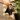 Person watering a plant with a black speckled watering can against a warm, blurred background