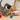 Cat playing with colorful crinkle balls near a bottle labeled 'Crumble Balls' on a wooden floor.