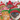 Christmas Cats Lunch Napkins with five cat faces in festive hats and scarves