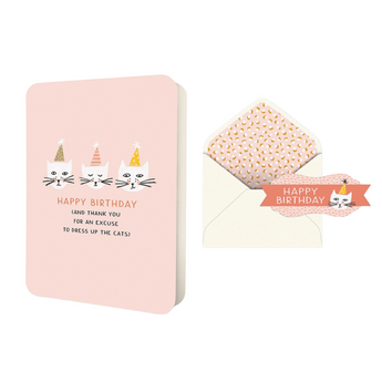 Dress Up The Cats Birthday Card featuring three cats with arty hats on a light pink backdrop and the words 'Happy Birthday (And Thank You For An Excuse To Dress Up The Cats)'