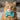 Fish Cat Bow Tie & Collar Set