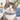 Fishy Cat Collar