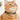 Football Field Cat Collar