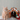 Cat sitting next to a gingerbread-themed pet house with festive decorations on a light background.