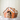 Cat peeking out from a gingerbread-themed cat house with a soft white background