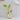 Golden cat-shaped metal vase holding a clear glass jar with flowers