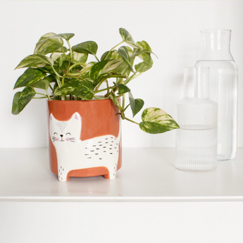 Handmade brown ceramic flower pot with a white smiling cat standing on its legs, holding a plant.