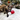Cat playing with toys on a white blanket in front of a decorated Christmas tree.