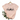Pink t-shirt with black plant graphic on a hanger