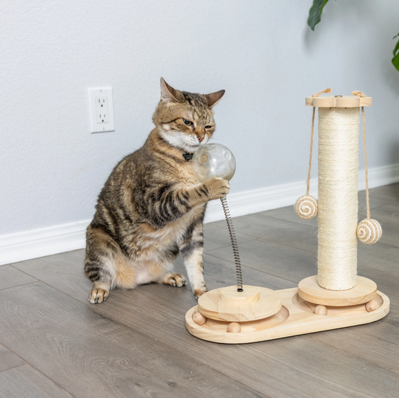 Interactive Cat Scratch Post & Activity Center | Organic Sisal Rope ...