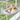 Katziela CloudPerch Cat Window Perch with Memory Foam Bed